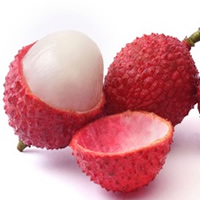 sorbet litchi